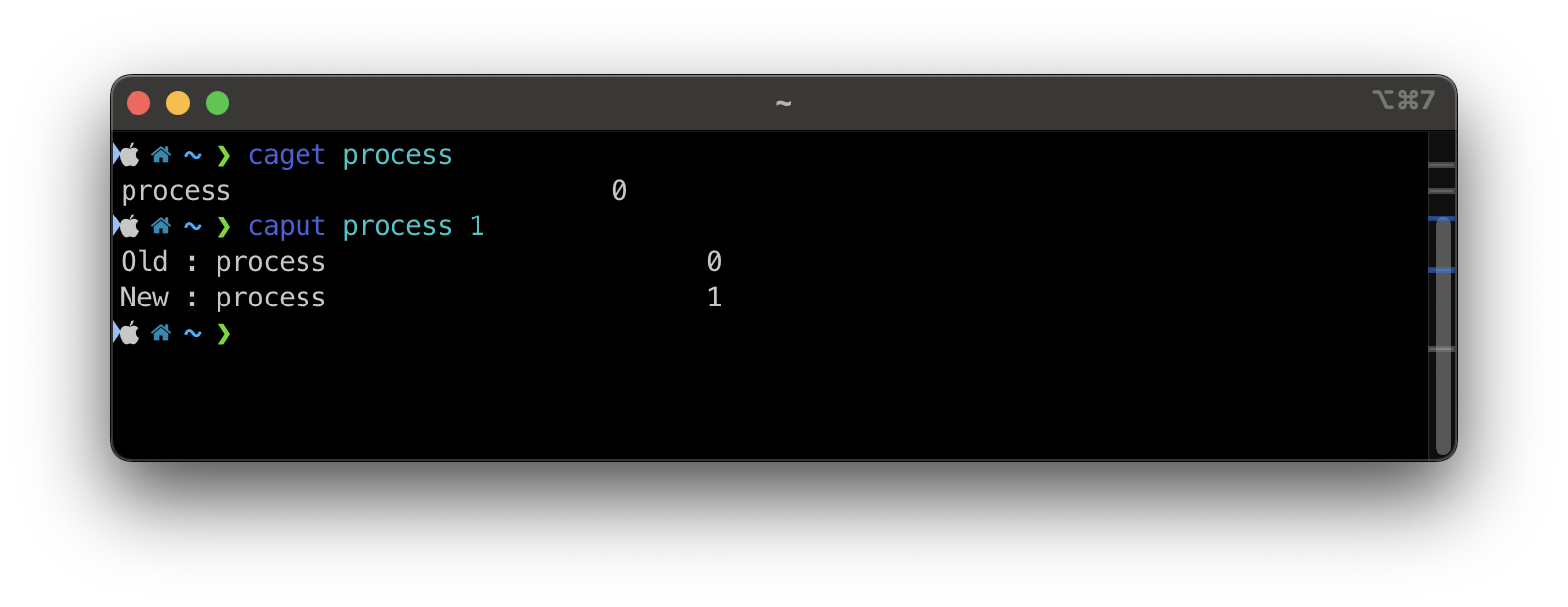 Using caput to interact with process record